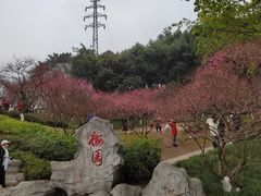 -重庆彩云湖湿地公园