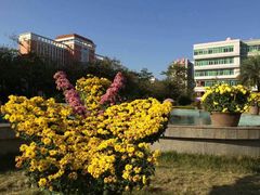 景点-飞来湖湿地公园