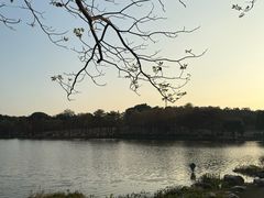 -东莞植物园