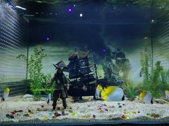 -秦皇岛乐岛海洋王国