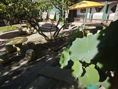 -宫事颐庭·老佛爷贵寿下午茶(颐和园店)