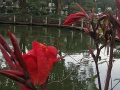 -华雅花园大酒店