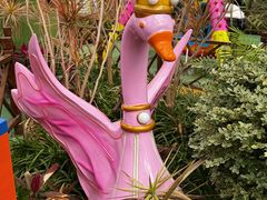 -南宫五洲植物乐园