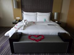 -青岛富力艾美酒店