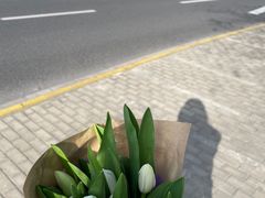 -双季花艺园艺市场(浦东店)