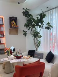 -WENDY·温迪皮肤管理