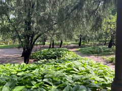-元大都城垣遗址公园