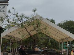 -头上红煨盐鸡·非遗院子餐厅