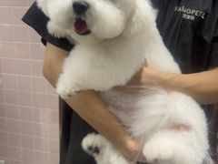 -FAELING PETS美天灵宠物(富力广场店)