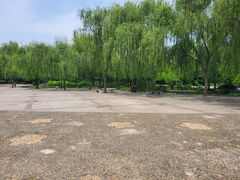 -洛阳市隋唐城遗址植物园