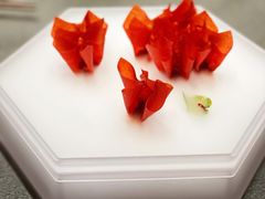 山楂鹅肝-拾久(朝阳公园店)