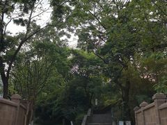 -昆明动物园
