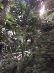 -颐和尚景酒店·宴会厅(园林生态酒店)