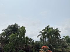 -呀诺达热带雨林