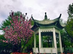 -四明山国家森林公园