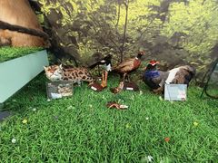 -房山世界地质公园博物馆