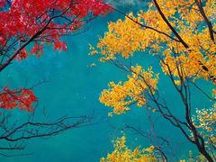 -叠溪松坪沟景区