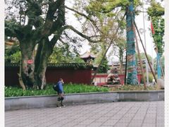 -峨眉山报国寺