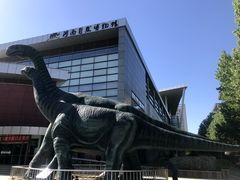 -河南自然博物馆