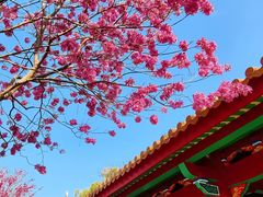 -天竺岩寺