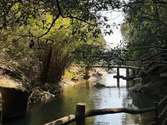 -梁野山景区