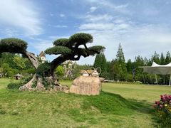 -东平国家森林公园