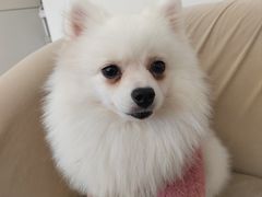 -怪兽屋·羊驼·猫咖·狗咖(俊华广场店)