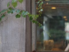 -来回·咖啡(天河南店)