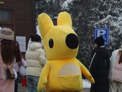 -少华山国家森林公园
