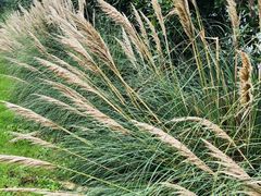 -前小桔亲子创意农场·草莓采摘·露营烧烤