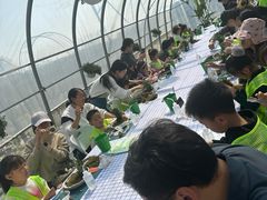-嘉北郊野公园