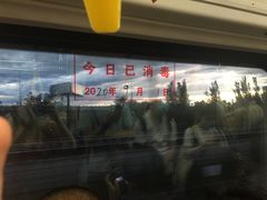 -五道口(地铁站)