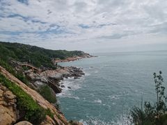 -广东惠东海龟国家级自然保护区