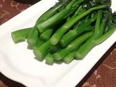 -金燕岛潮州酒楼