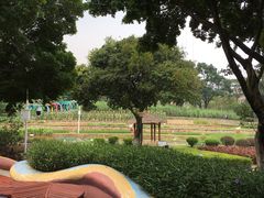 -天河儿童公园