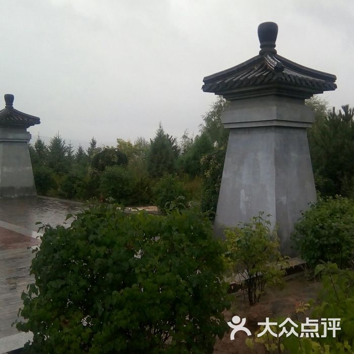 娄烦森林公园