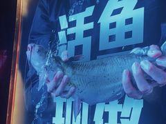 -老板恋上鱼(恒隆广场店)