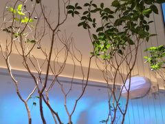 -桂满陇(虹桥天地店)