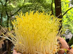-巴倒烫陆派重庆火锅(南山店)