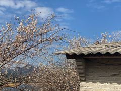 -广州市流溪河国家森林公园