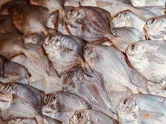 -韩风源自助烤肉(国贸精品店)