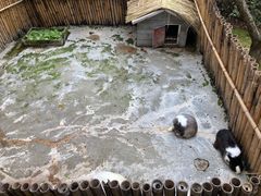 -太极禅苑