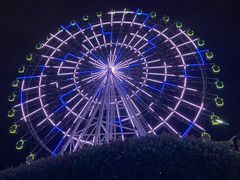 -琴岛之星摩天轮