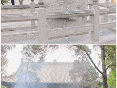 -神州牡丹园