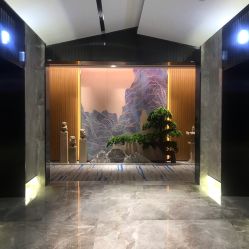 -MJ skin care国际皮肤管理中心