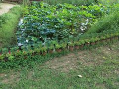 -祥源·阜阳生态乐园