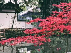 -成都杜甫草堂博物馆