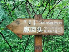 -大青沟风景区