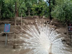 -哈尔滨北方森林动物园