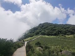 -白草畔自然风景区